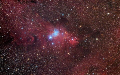 NGC2264 - Le Cone et Le Sapin De Noël