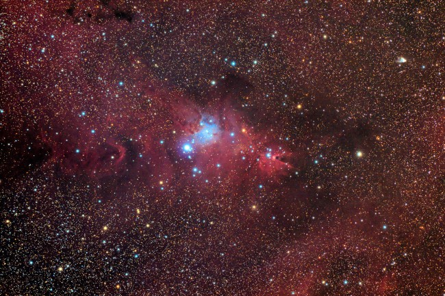 NGC2264 - Le Cone et Le Sapin De Noël