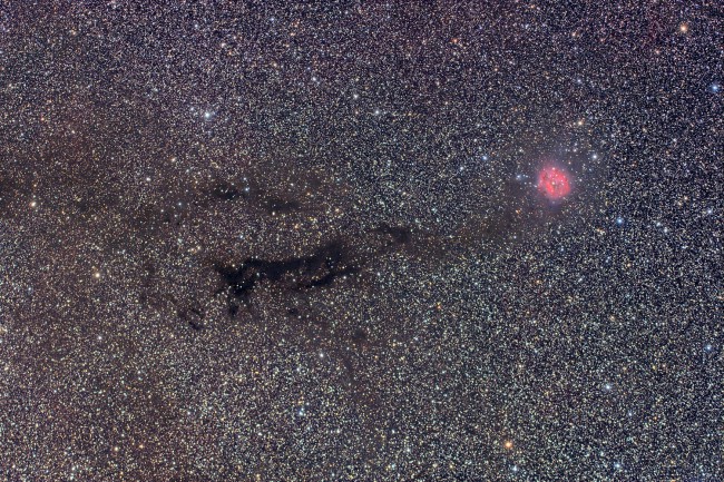 IC 5146 - Nébuleuse du Cocon