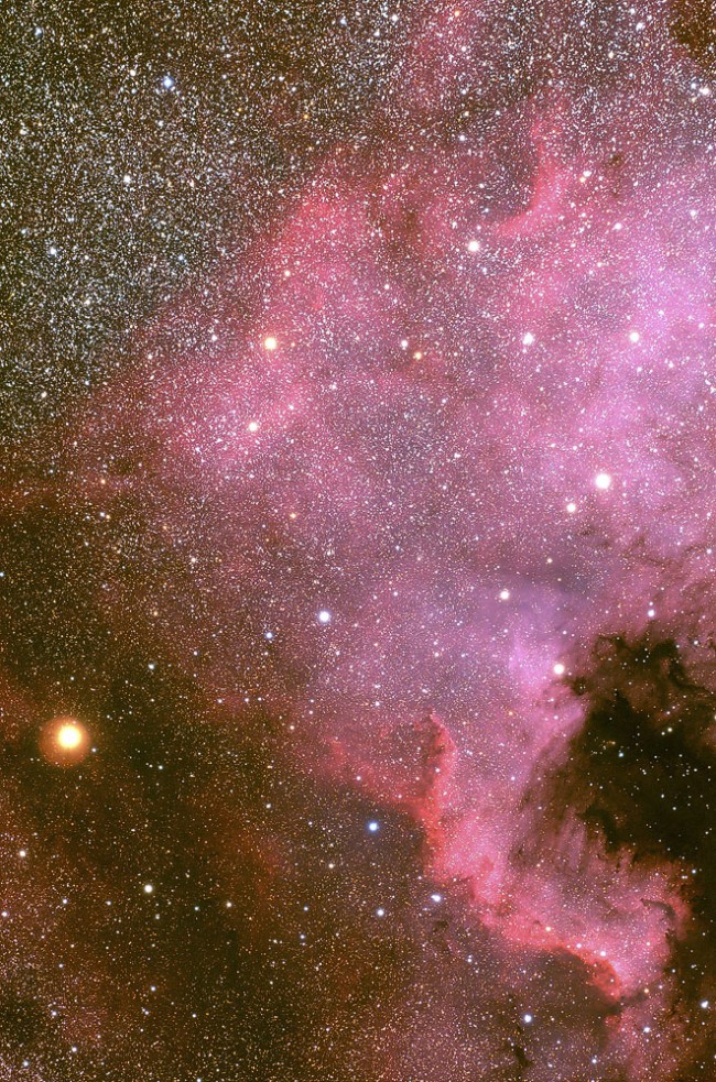 NGC 7000 - Amerique du Nord