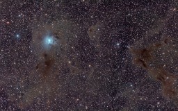 NGC 7023 - Nébuleuse de l'Iris