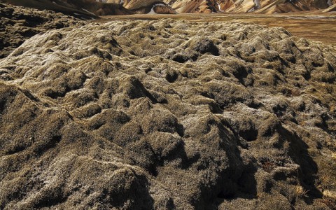 Vagues de Mousse