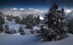 Les Alpes En Blanc
