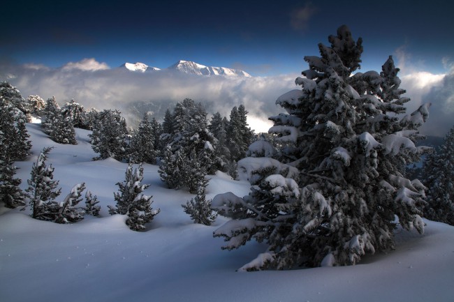 Alps In White