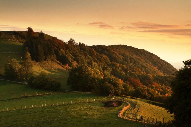 Farmland At Fall