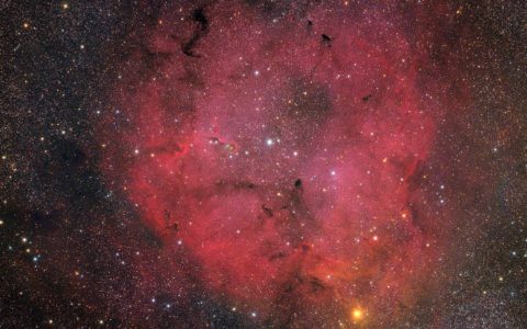 IC 1396 and the Elephant’s Trunk Nebula