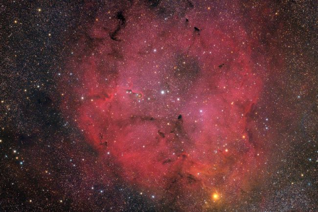 IC 1396 et La Nébuleuse de la Trompe d'Elephant