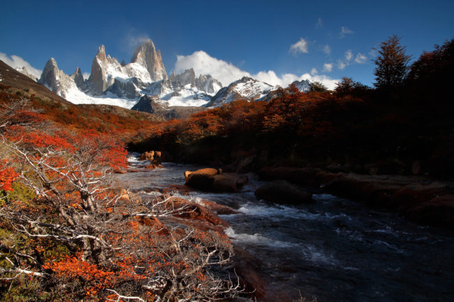 Fitz Roy Souvenir