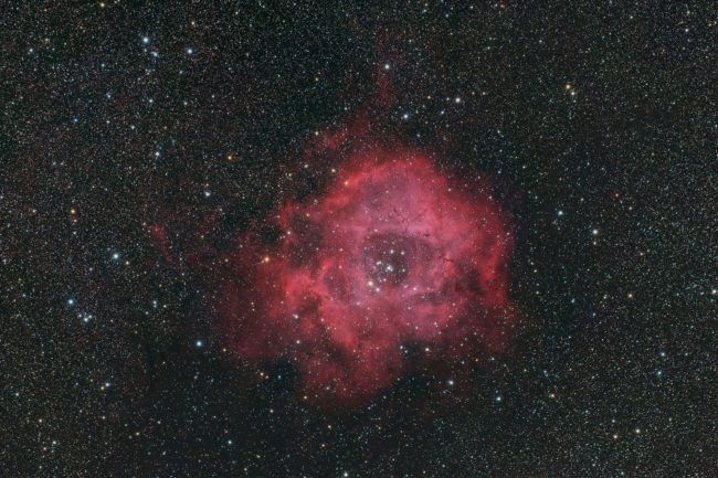 Rosette Nebula