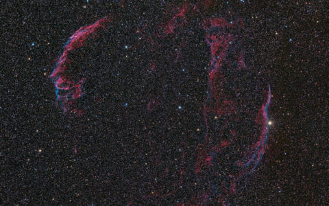 Les Dentelles du Cygne