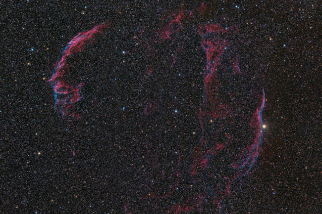Cygnus Lace