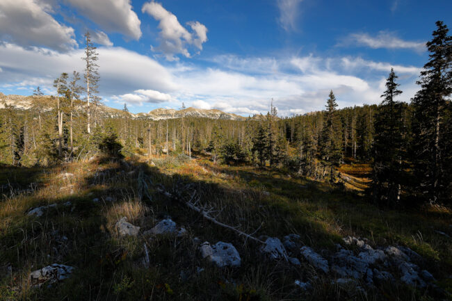 Lost in the Vercors